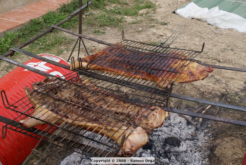 DSC02165.JPG
