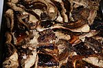 DSC02175.JPG
