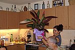 DSC02182.JPG