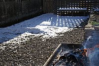 DSC06923.JPG