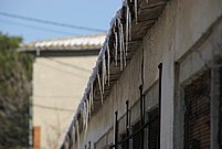 DSC06931.JPG