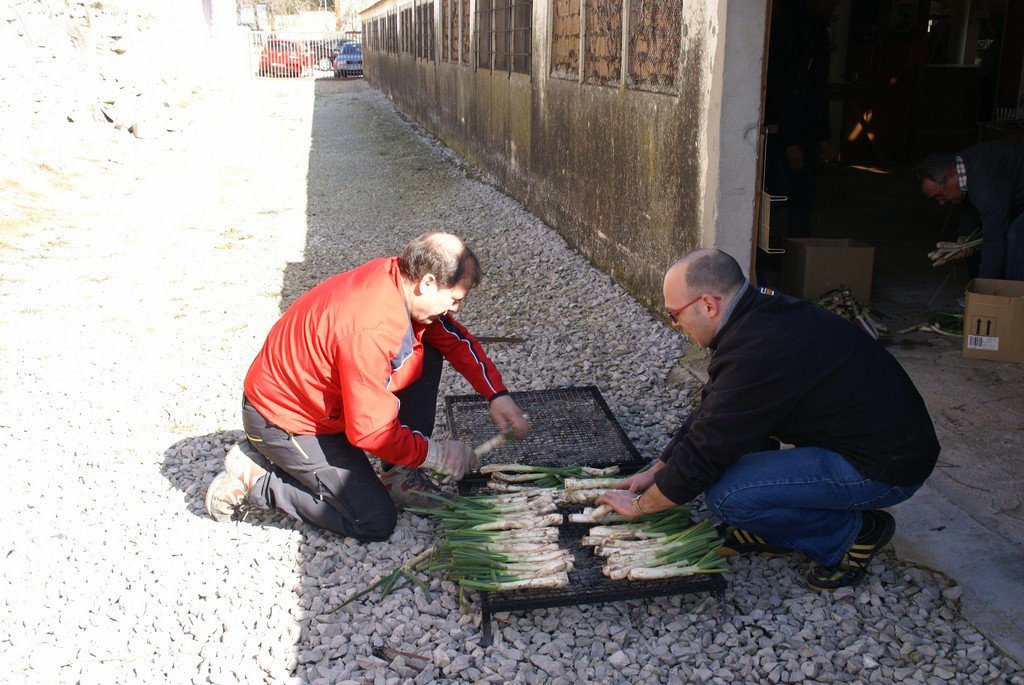 DSC09175.JPG