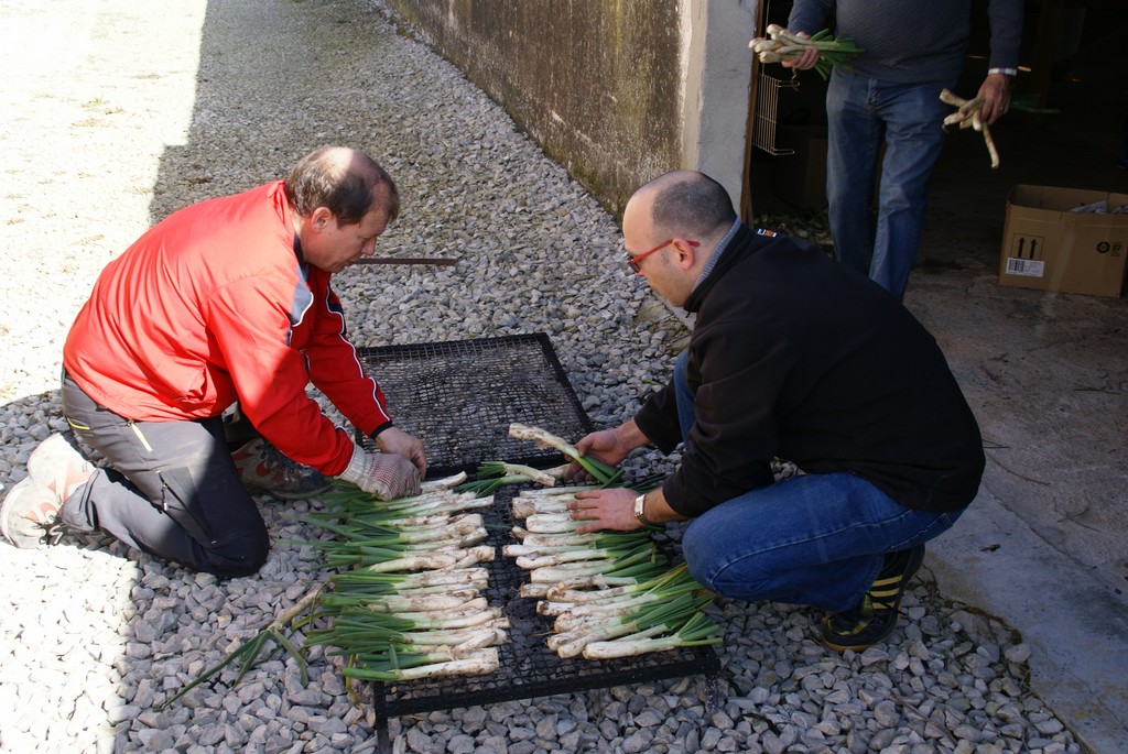 DSC09176.JPG