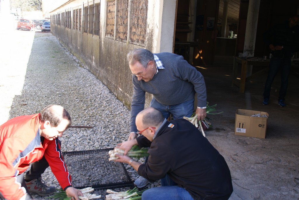 DSC09177.JPG