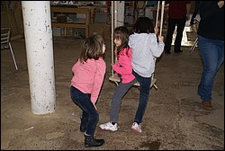 DSC09248.JPG