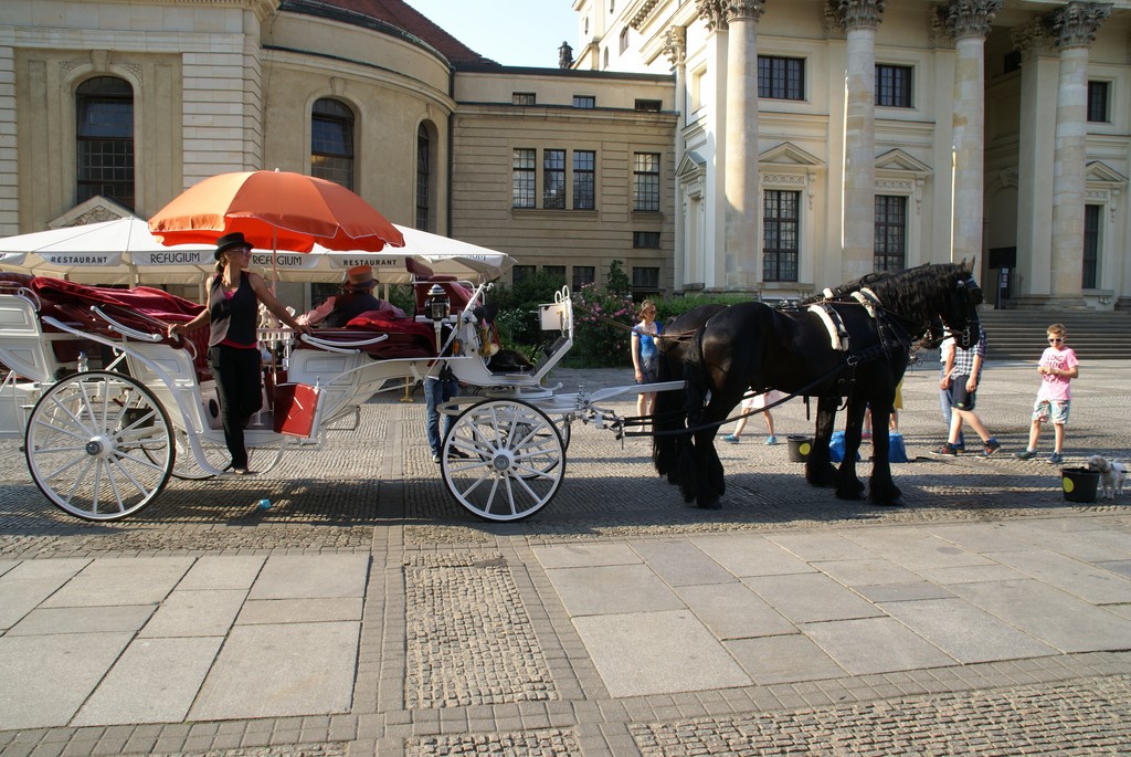DSC00154.JPG