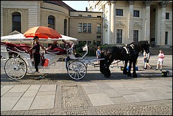 DSC00154.JPG