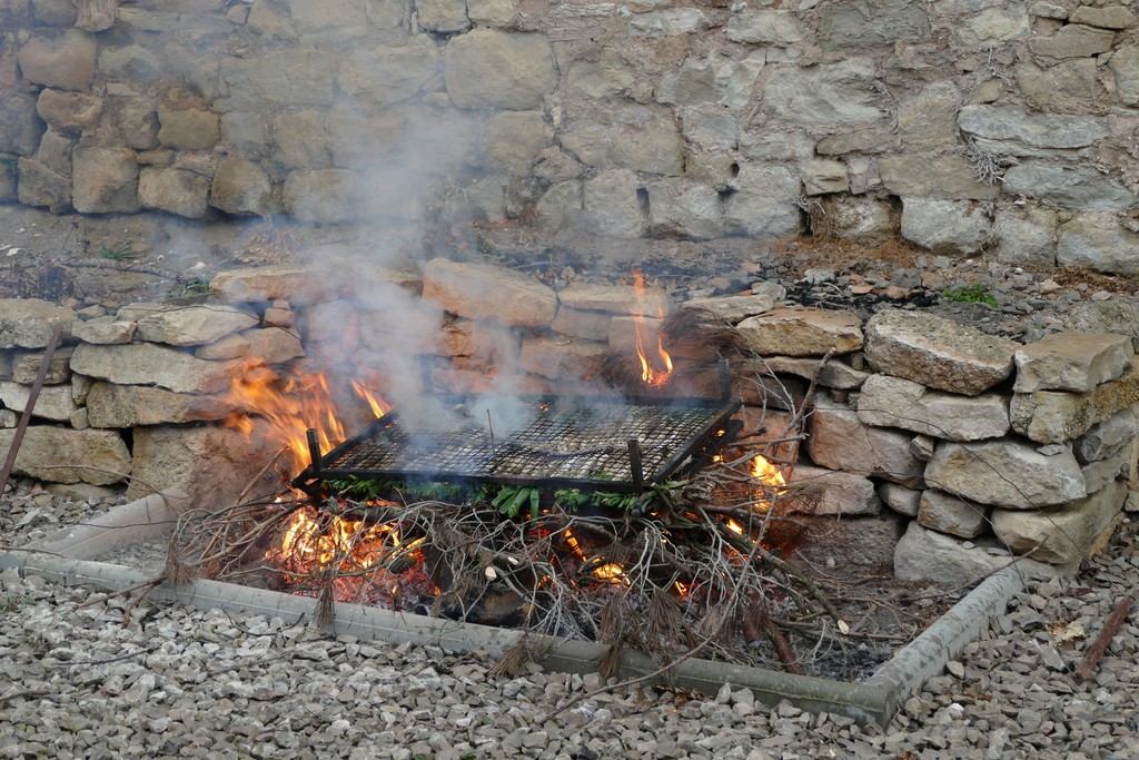 P1010201.JPG