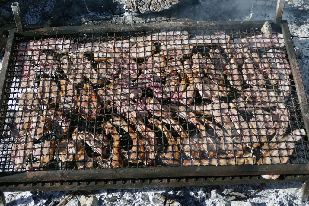 P1060843.JPG