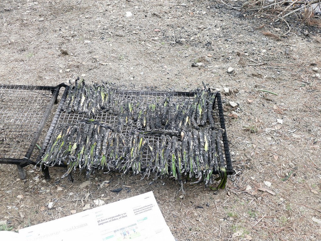 P1170530.jpg