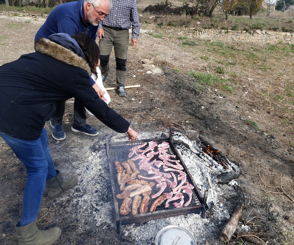 P1170599.jpg