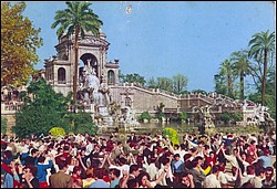 949.jpg