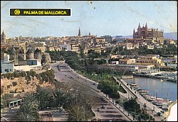 954.jpg