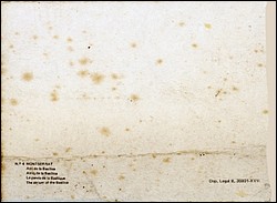 961r.jpg