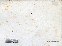 969r.jpg