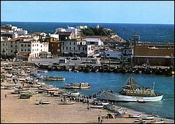 986.jpg