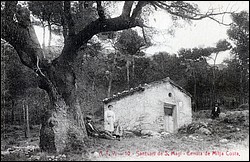 010.jpg