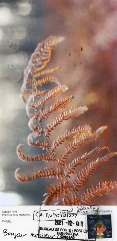 PC084_.jpg
