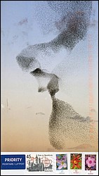 PC073_.jpg