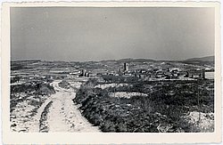858.jpg