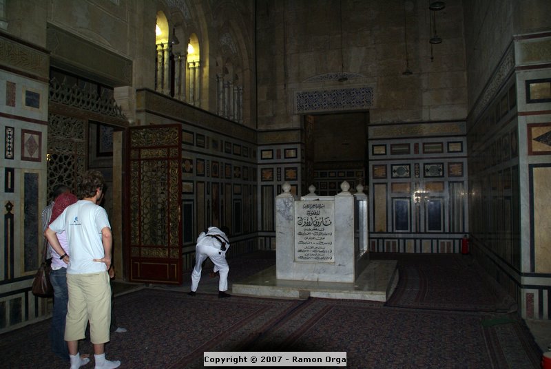 DSC00555.jpg