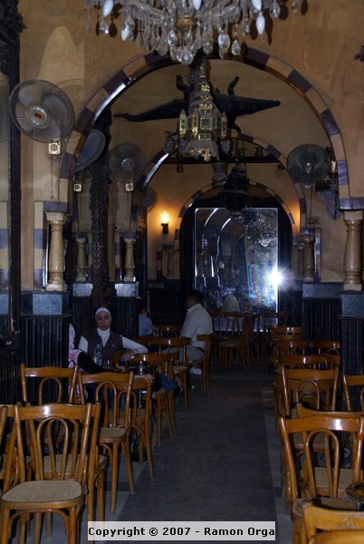 DSC00595.jpg