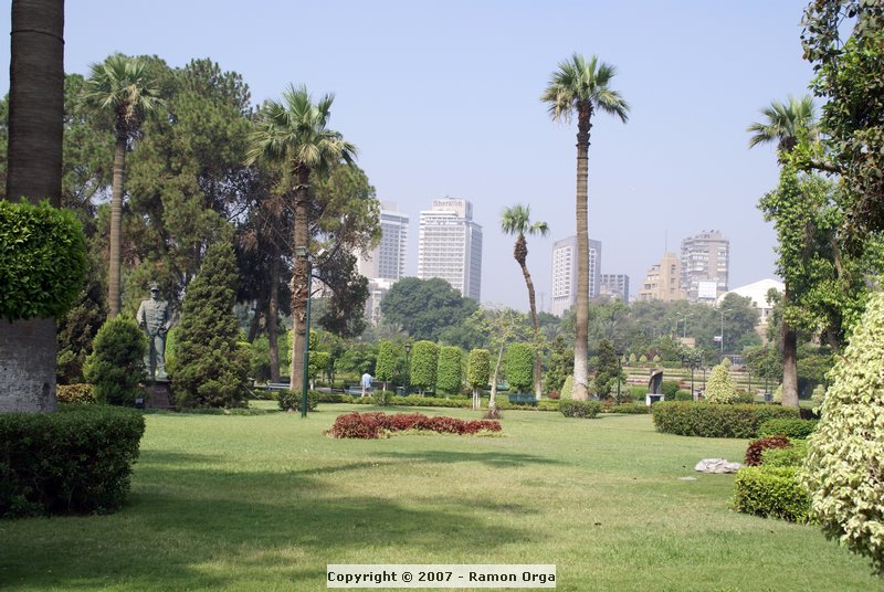 DSC00801.jpg