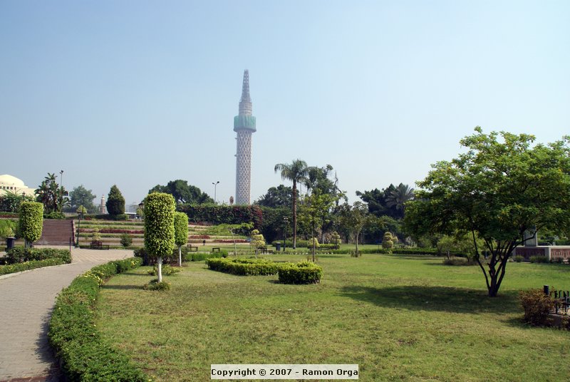 DSC00803.jpg