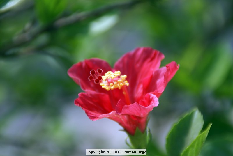 DSC00805.jpg