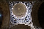 DSC00547.jpg