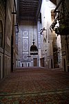 DSC00554.jpg