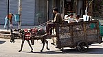DSC00579r.jpg