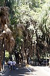 DSC00651.jpg