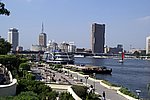 DSC00656.jpg