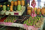 DSC00664.jpg