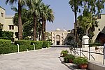 DSC00666.jpg
