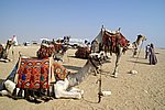DSC00698.jpg