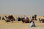 DSC00712.jpg