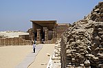 DSC00787.jpg