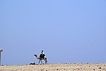 DSC00798.jpg