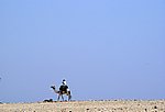 DSC00798r.jpg