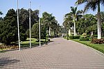 DSC00799.jpg