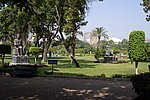 DSC00802.jpg