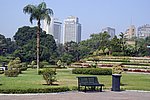 DSC00806.jpg