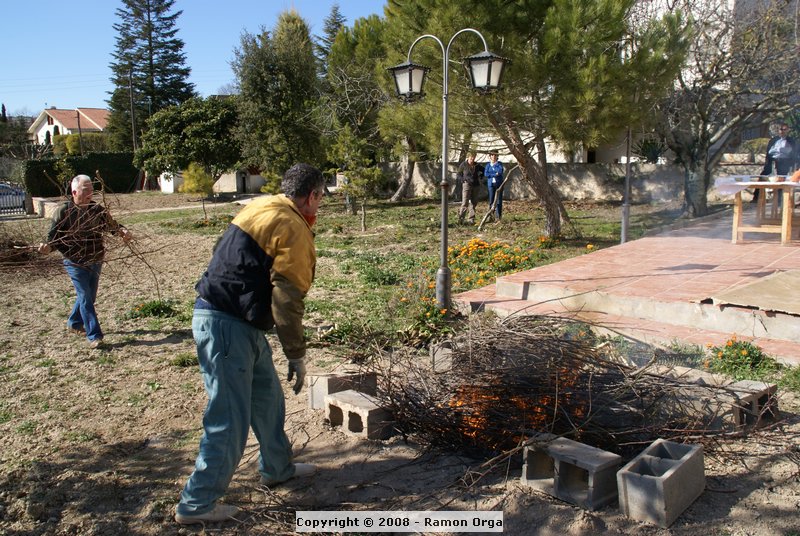 DSC01743.JPG