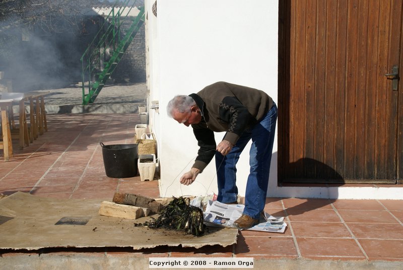 DSC01746.JPG