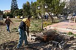 DSC01743.JPG