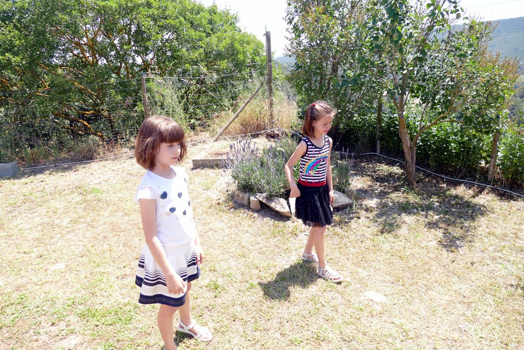 P1080144.jpg