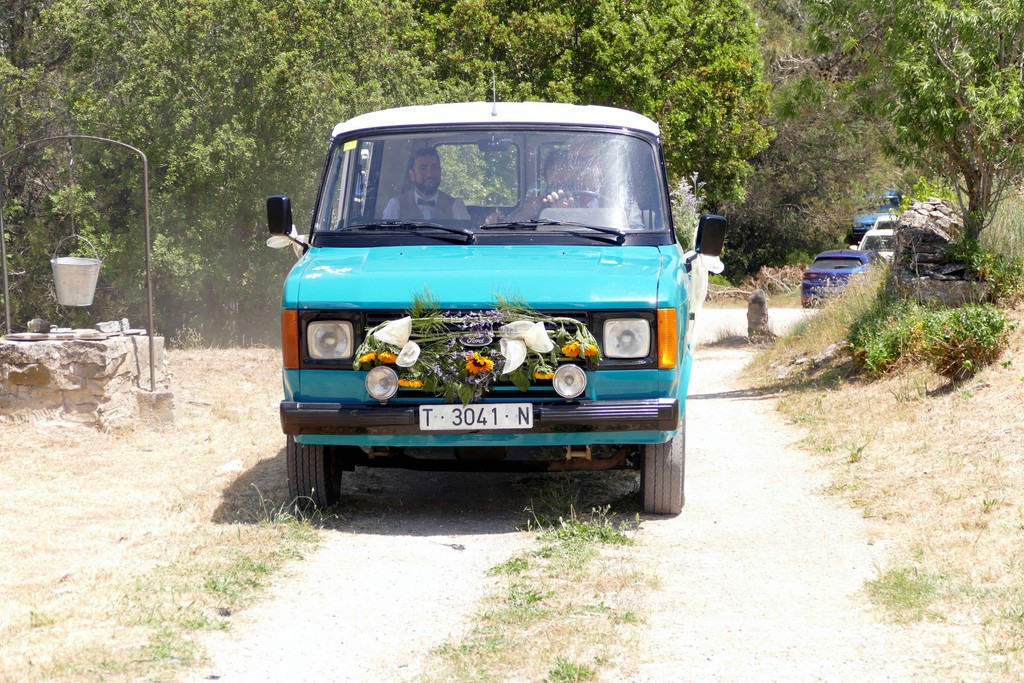 P1080174.jpg