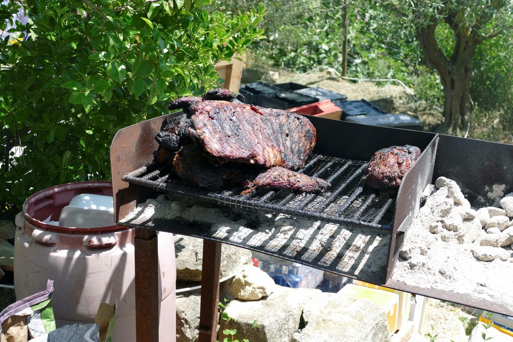 P1080350.jpg